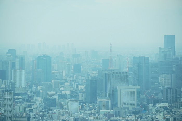 スカイツリーから見えた東京タワー