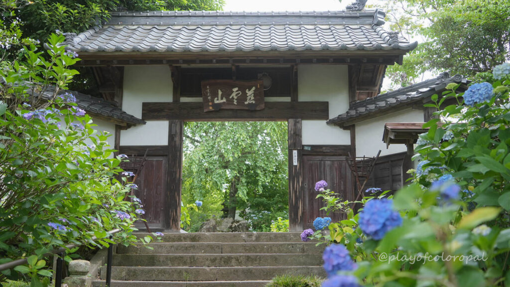 宮城県　資福寺　紫陽花寺