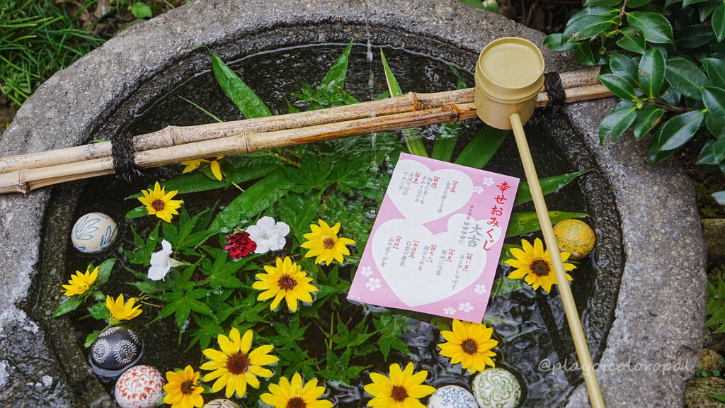 仙臺大神宮　仙台大神宮　水みくじ