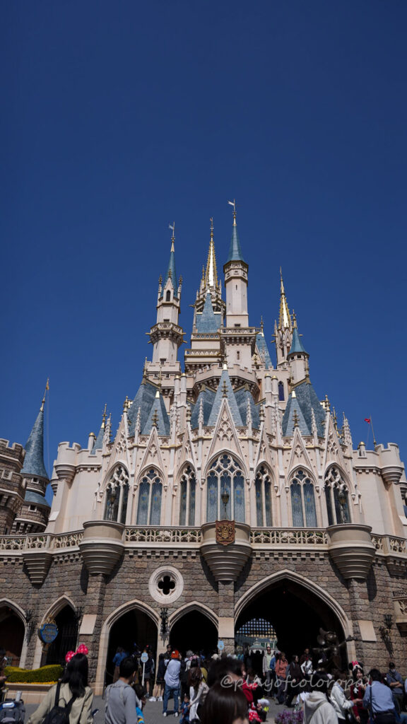 シンデレラ城裏